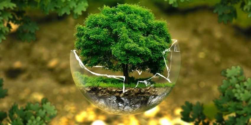 IMF Başkanı Kristalina Georieva, Geleceğin İşinin Yeşil Ekonomide Olduğunu Söyledi